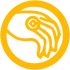 Ícones